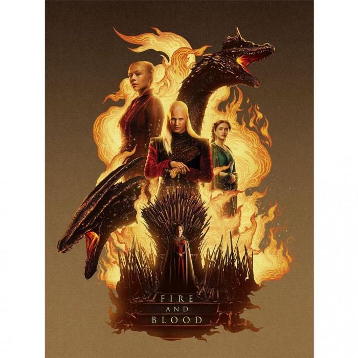House Of The Dragon Fire And Blood Canvas Print