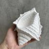 3D Handmade Conch Potted Flower Pot Mould Conch Silicone Mold Succulent Flower Pot Mold Gypsum Plaster Resin Concrete Molds