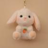 Plush Doll Plush Bunny Keychain Animal Bear Rabbit Bag Pendant  Boys and Girls