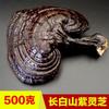 Ciupercă Reishi Violet Organic Sălbatică 500g Ceai Herbal pentru Sănătate