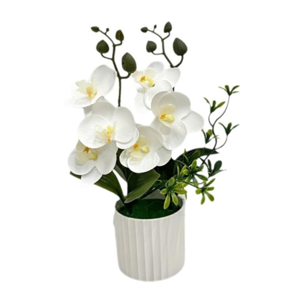 Multicolor Butterfly Orchid Artificial Flower Plastic Faux Moth Orchid Potted  Desktop Oranemnt