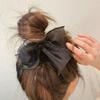 Delicate Chiffon See-through Big Ribbon Hair Tie BLH24
