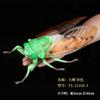 Realistic Insect Figure Collection Set Miniature Model With Detailed Sculpting Collectible Desk Display Decor Gift For Fans