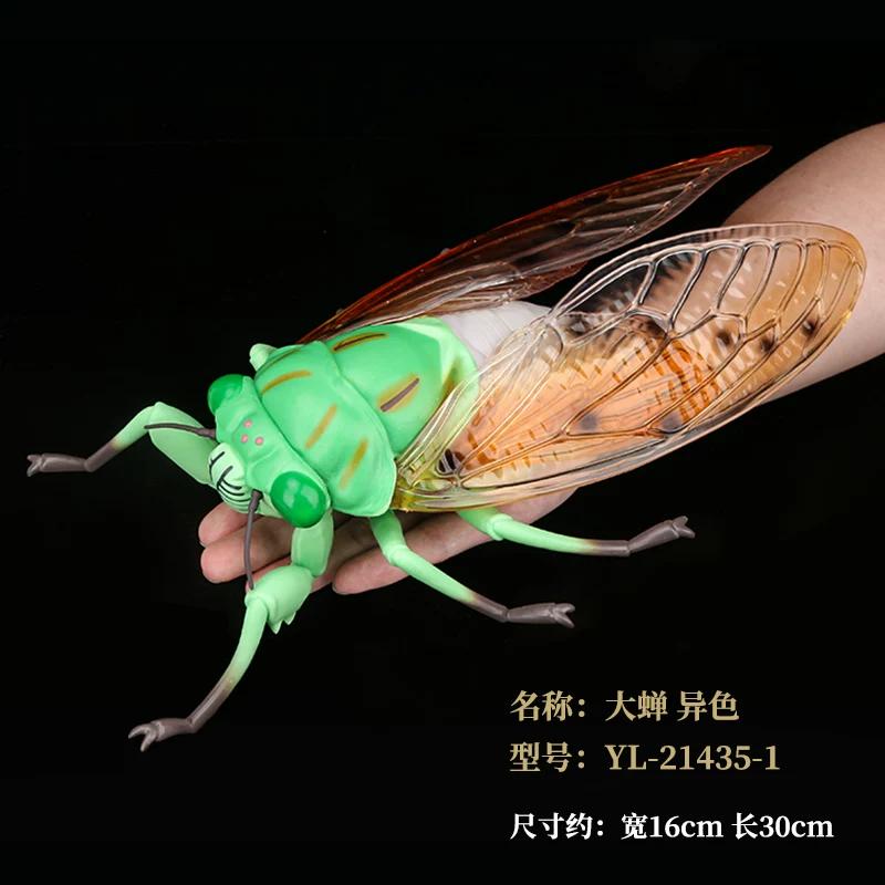 Realistic Insect Figure Collection Set Miniature Model With Detailed Sculpting Collectible Desk Display Decor Gift For Fans
