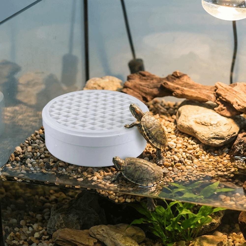 Plastic Turtle Poop Collector Basking Platform Reptile Waste Container Turtle Tank