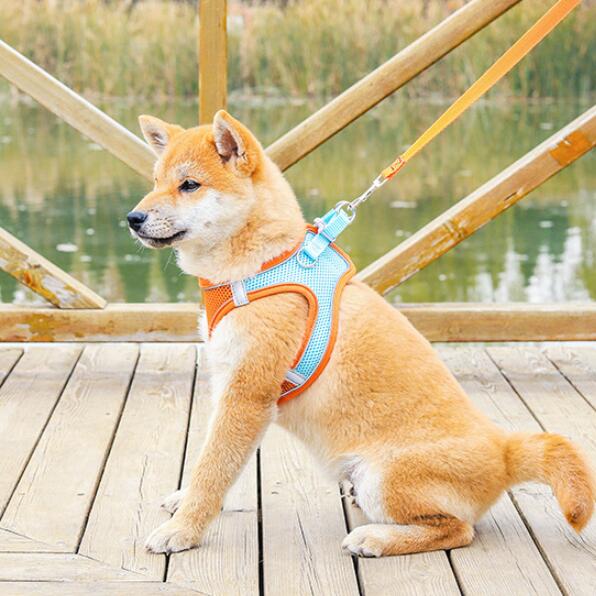 Reflective Pet Harness Dogs Strap with Leash Adjustable Harness Vest Breathable Collars for Chihuahua Small Large Dogs
