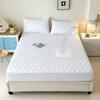 Waterproof Solid Color Fitted Mattress Protector Cover