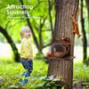 Wood Squirrel Feeder Wall Mounted Large Hole Chipmunk Feeding House with Transparent Window for Outdoor Yard Garden Decoration
