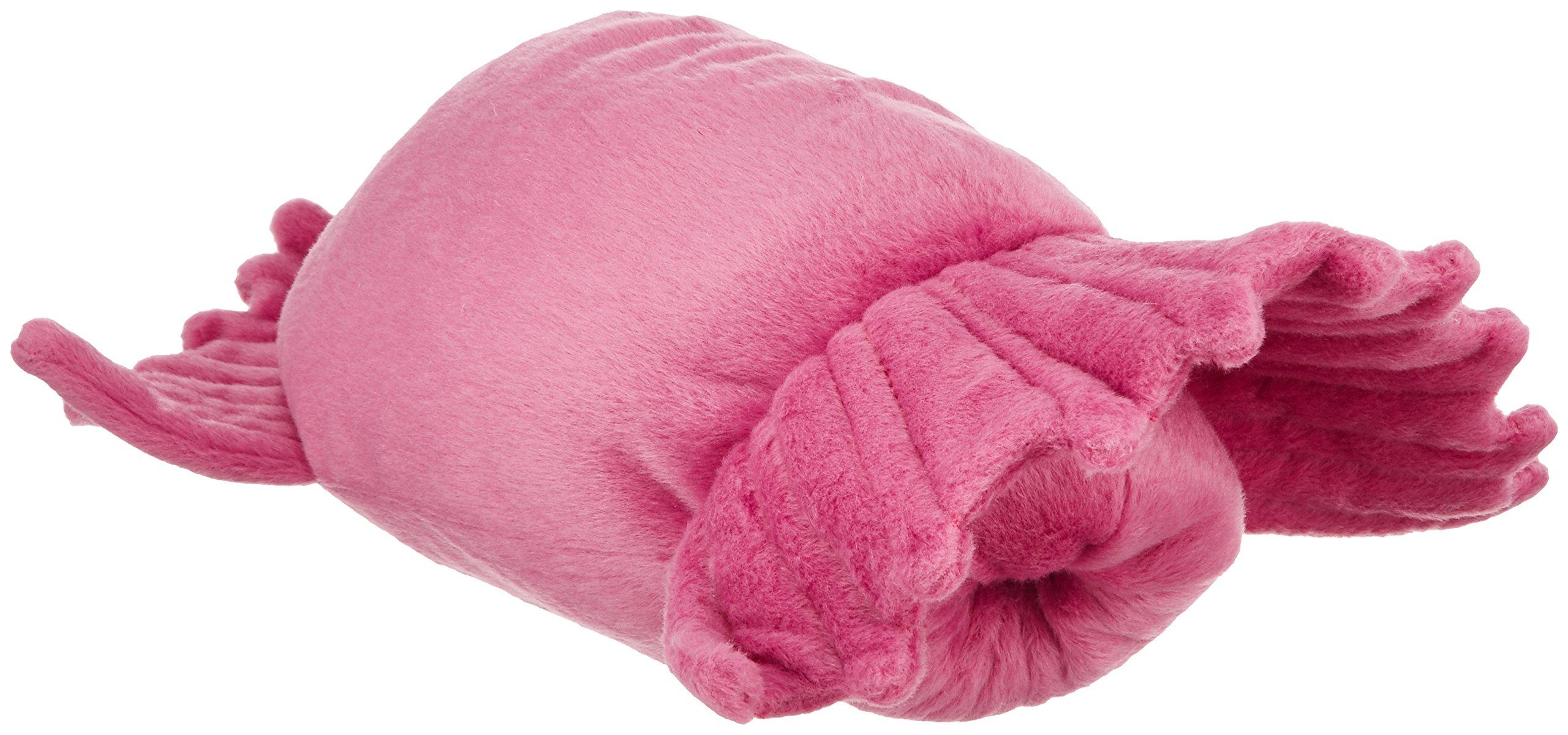 

Shinkai-san Dream Sea Cucumber Plush Toy 6426