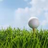 Golf Zweischichtiger Übungsball Sarin Ball Gummiball Golf Zweischichtiger Übungsball