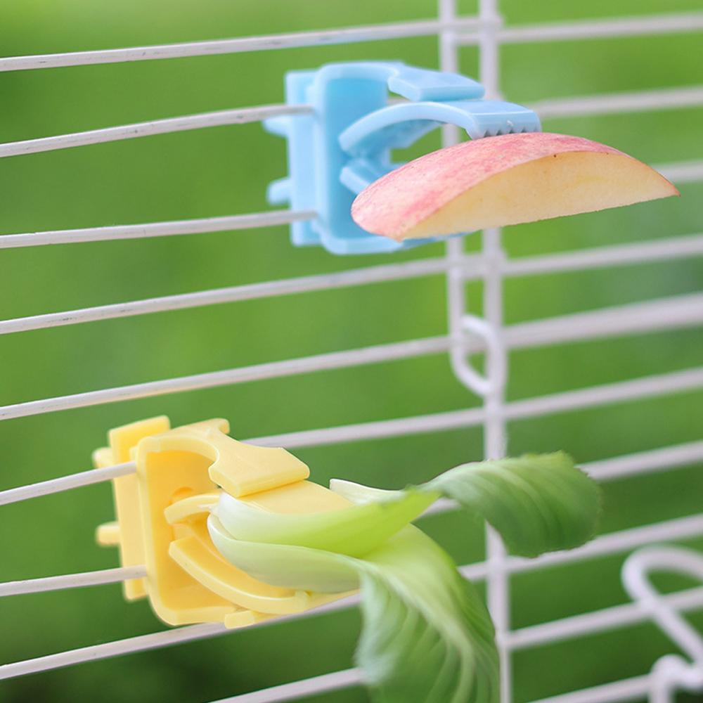2/4pcs Set Pet Bird Food Holders Parrot Fruit Vegetables Clip Cuttlefish Bone Feeder Device for Pet Parrot Bird Cage Accessories