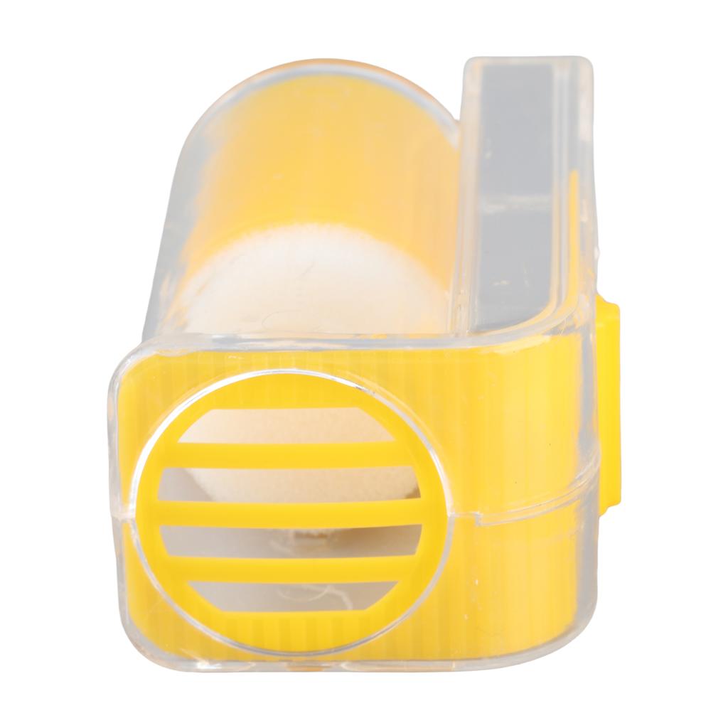 Bee Catch  Bee    ing Bottle   Bee Cage Beekeeping Tools