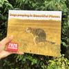 2026 Dog Pooping Calendar Funny Animal Humor Wall Calendar with Dogsh*t Design Novelty Gag Gift for Dog Lovers Office Home Decor