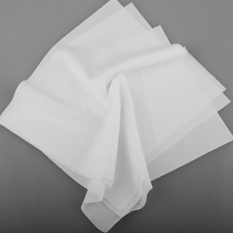 Haisidike Dust-Free Cleanroom Wipes
