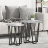 2-Piece Round Side Table Set, Wooden Coffee Tables with Metal Frames, Living Room Decoration Table Set