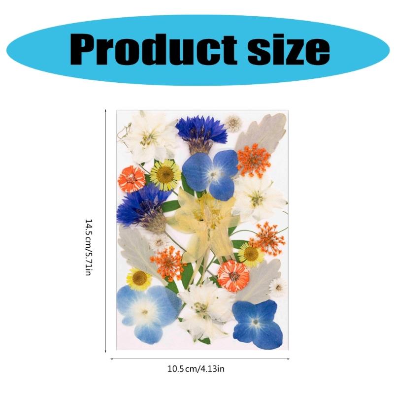 25Pcs Natural Pressed Dried Flower Leaves Set For Jewelry Soap Making