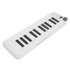 MIDI Keyboard Controller 25 Force Sensitive Keys 1 Assignable Knob Portable Smart MIDI Keyboard Controller