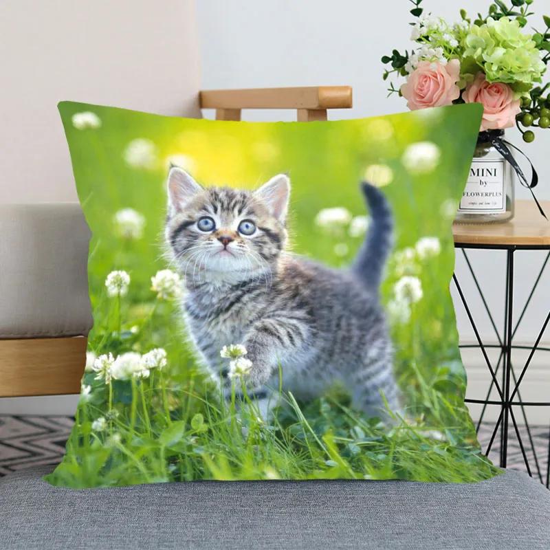 

Милая наволочка для кровати с изображением животных для автомобиля, дивана, домашнего питомца, кошки, наволочка с принтом 45x45cm