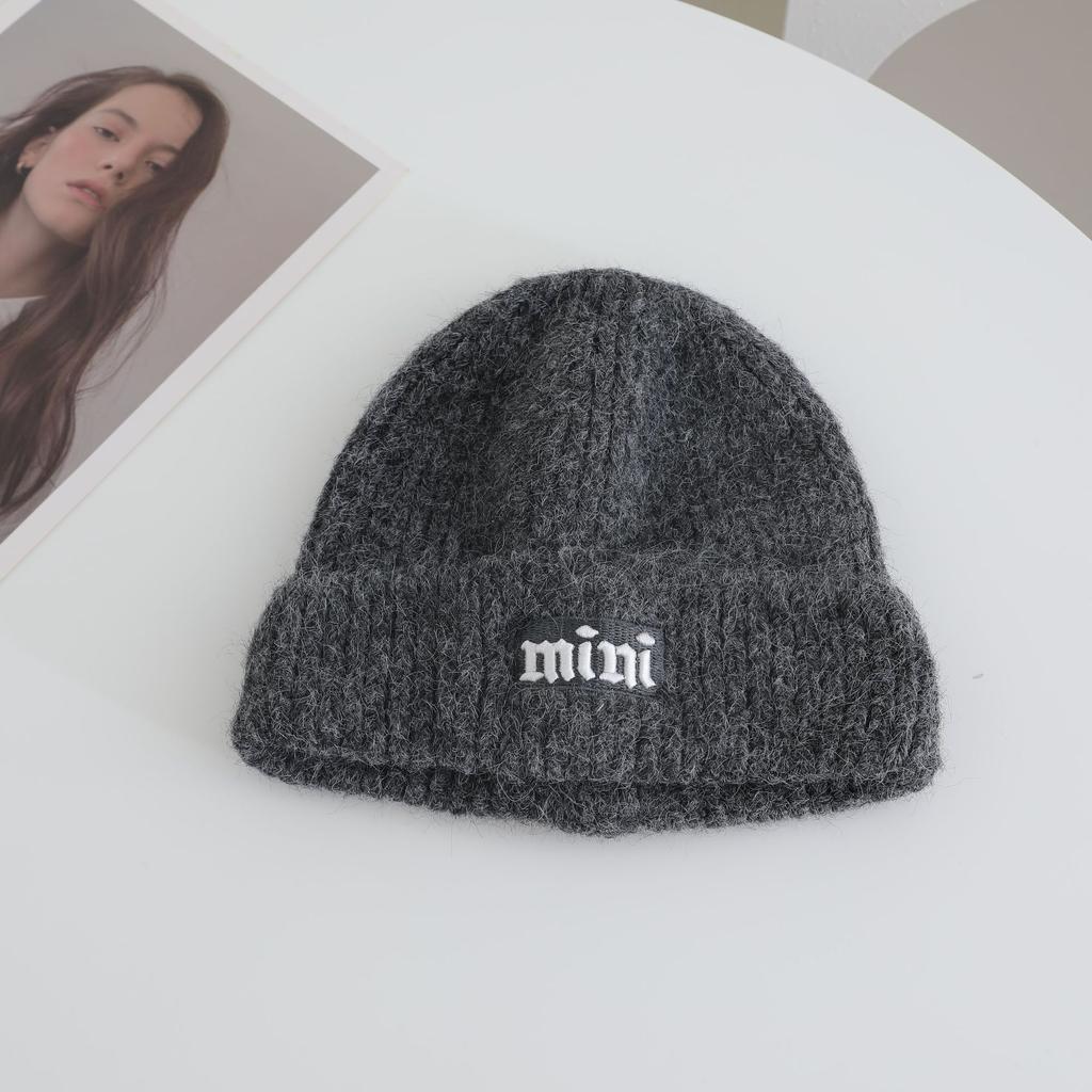 Simple Embroidered Knitted Hat for Women's Autumn and Winter New Collection  Warm Thickened  Cold Hat That Looks Good on The Face Small Ear Protection