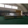 Professional Combat Sports Training Ring
