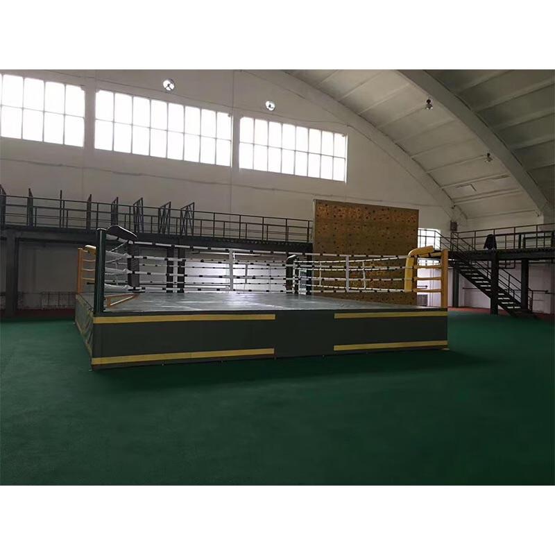 Professional Combat Sports Training Ring