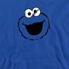 Sesame Street Unisex Adult Cookie Monster Face Hoodie