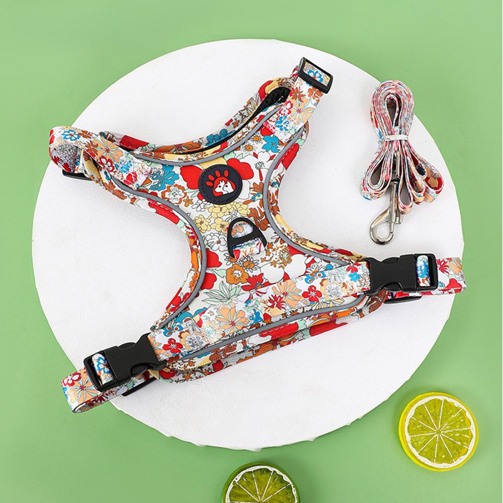 Módní tištěný postroj pro štěně a sada vodítka Reflexní prodyšné potřeby pro venčení domácích mazlíčků pro malé a střední psy