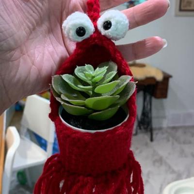 Lobster-Shaped Crochet Plant Hanger Handmade Space Saving Hanging Storage Basket Cotton Woven with Tassel Crochet Car Hanger