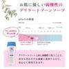 Delicate Zone Soap Feminine Wash 150ml 1 Bottle 1 Feminine PH-JAPAN-PREMIUM (Powder Mint, + Wet)