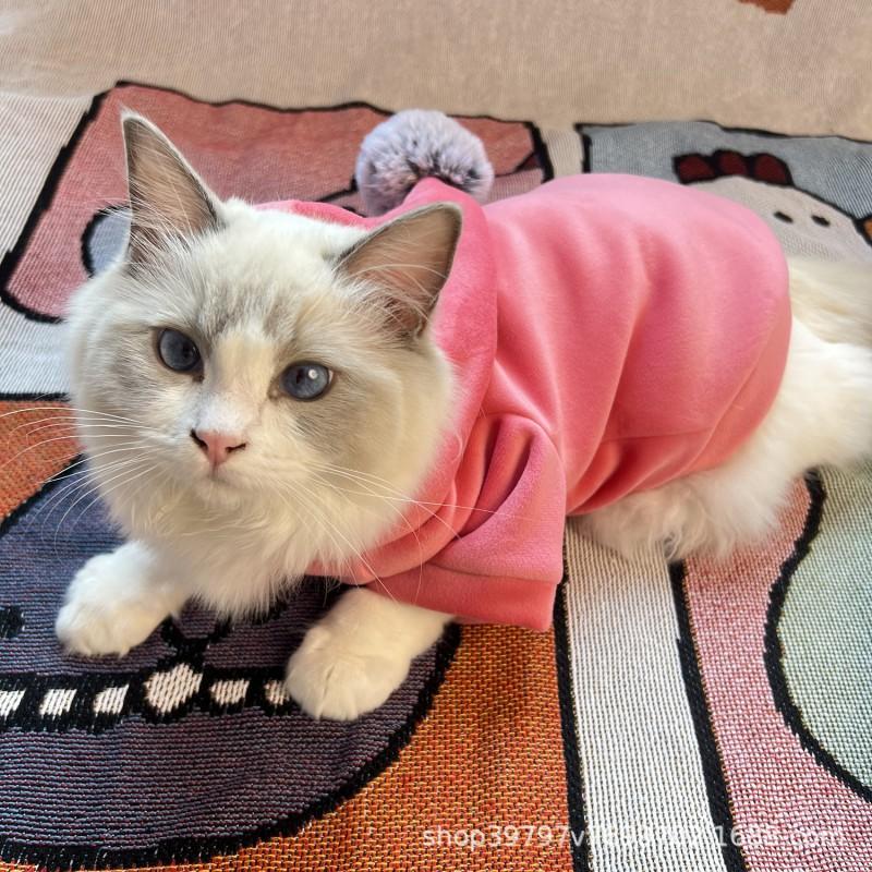 Double-Layer Thickened Soft Velvet Hooded Dog Cat Two-Legged Winter Coat Small Medium Large Breeds