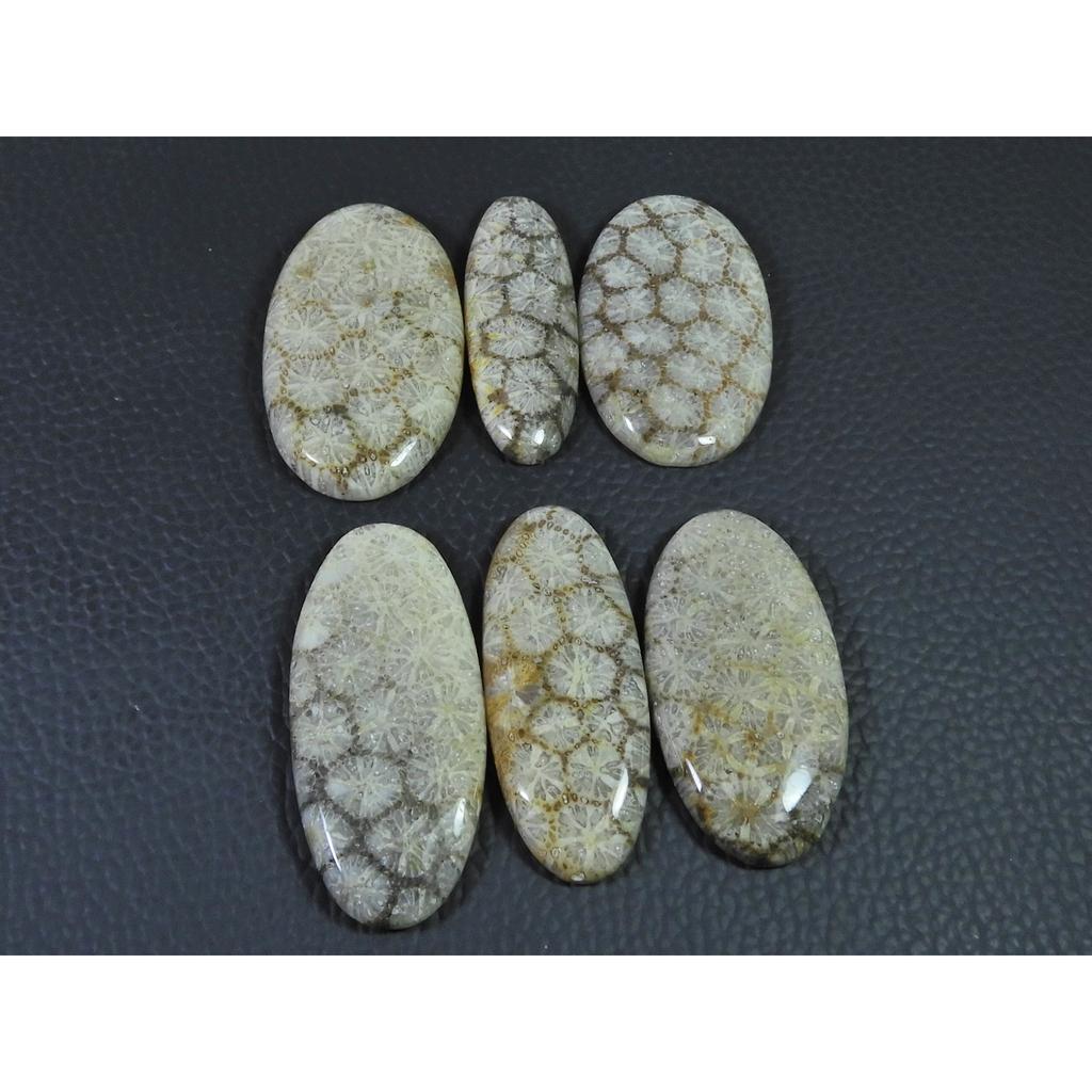 236Cts. Natural Fossil Coral Oval Cabochon Loose Gemstone 6Pcs Lot C-1895