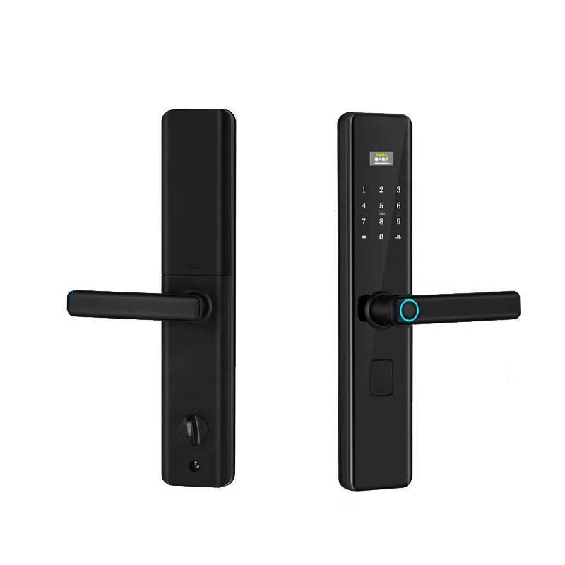 Zhongwei Shixing ZW-1601 Smart Electronic Door Lock CN plug (adapter included)