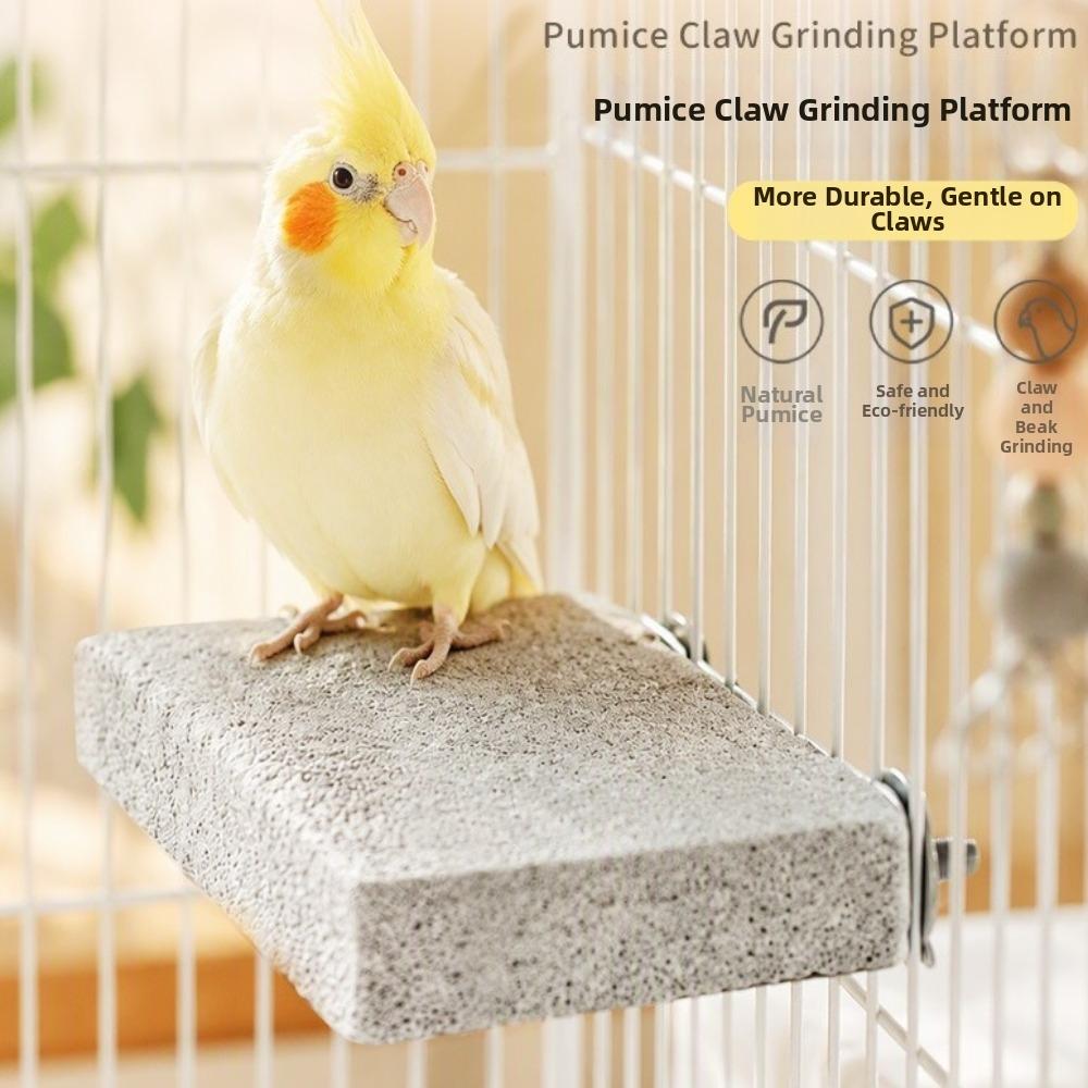Washable Pumice Claw Grinding Platform Chew-Resistant Bird Resting Platform  Play Stand For Birds