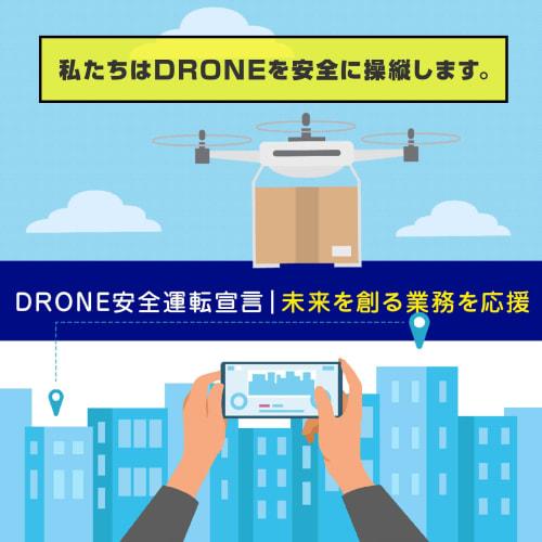 Habusu Unmanned Aerial Vehicle (Drone) Pilot Bibs, Black, XXL, for Safety and Security When Operating a Drone