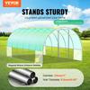 Walk-in Tunnel Greenhouse 19.36x9.68x7.4ft Galvanized Frame PE Cover Green