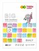 Big White School Drawing Pad A4 100G 100 Sheets Happy Color Acid-Free
