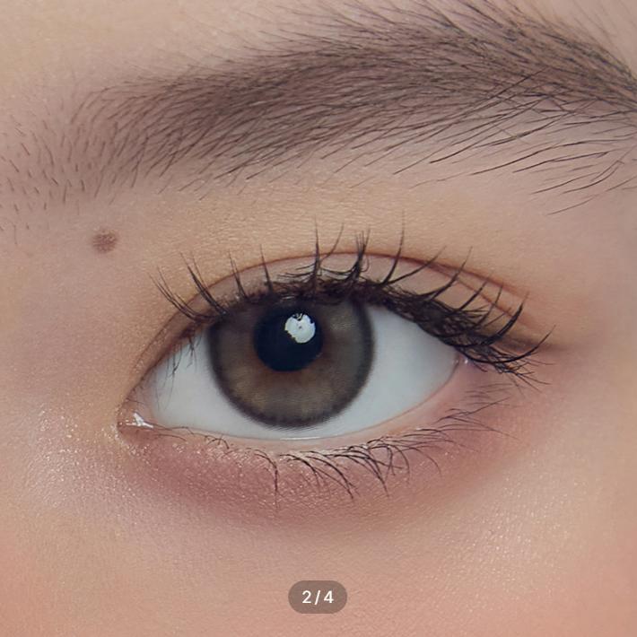 Sorgo Un Día Holandés Gris