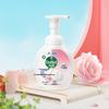 Floral Foaming Hand Wash