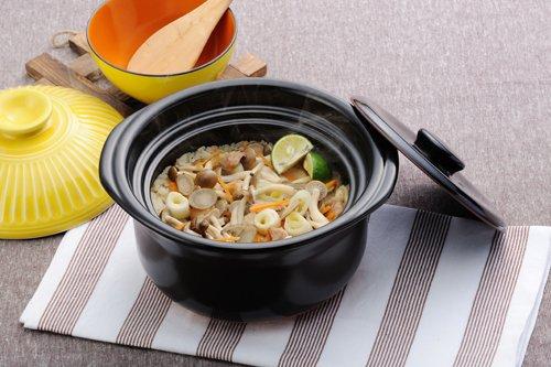 Banko Ware Ginpo Pottery Chrysanthemum Rice Pot (3-cup Capacity, Candy Glaze)