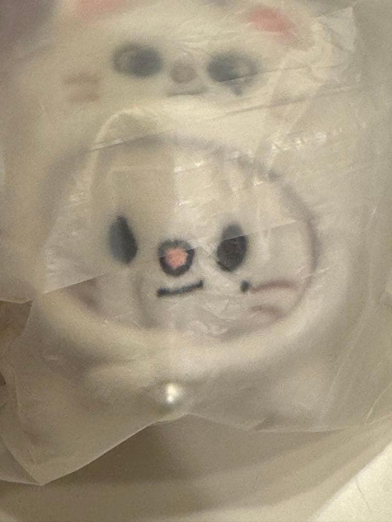 [USED] Stray Kids Celebrate Popup Ginillet Key Ring