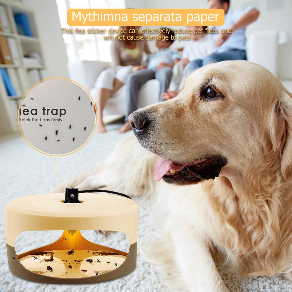 Flea Killer Trap with 2 Glue Discs Pad Bed Bug Trap Light Bulb Safe for Children Pet Dog Cat Best Control for Home House Inside