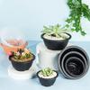 Plastic Circular Succulent Flowerpot Creative Gardening Succulent Plant Pot Seedling Pot Garden Plant Planting Bonsai Short Pots