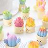 Mini Figurine Cactus Mignon en Résine Ornement Miniature Plante en Pot Petite Plante Cactus Artificiel Faux pour Tableau de Bord de Voiture Bureau à Domicile