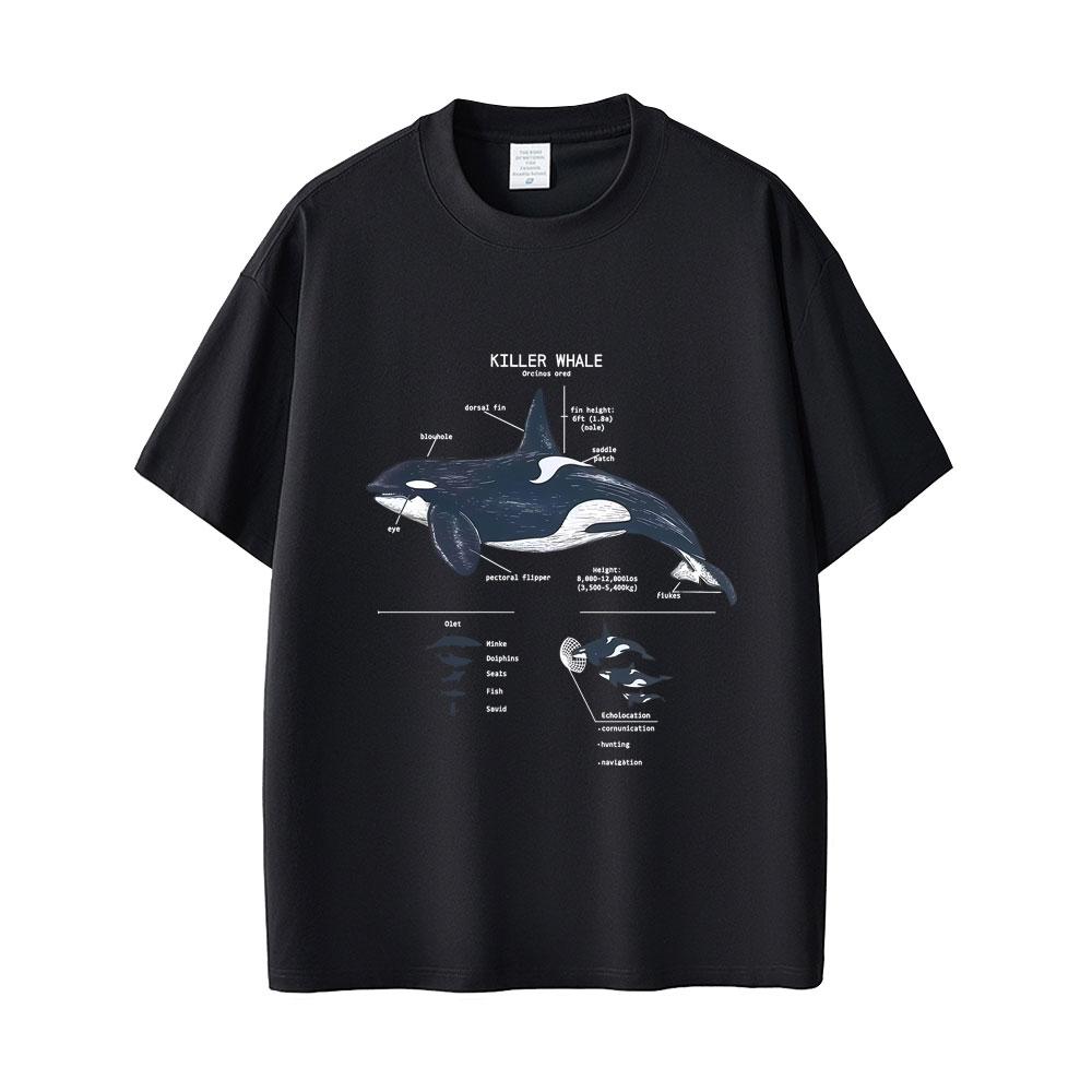 Marine Animals Killer Whale Anatomy Graphic Tshirt Mens Womens Casual Funny T Shirts Tops Unisex Fashion Oversized Streetwear