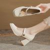 Damen High Heels 2025 Frühling und Herbst neue eckige Spitze flacher Ausschnitt Mary Janes mit Rock dicker Absatz einzelne Schuhe
