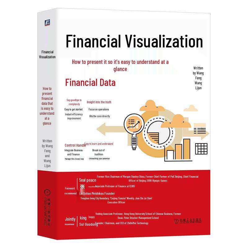 Financial Visualization Guide
