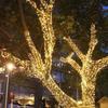 Christmas Festival Solar LED Outdoor Twinkling String Lights