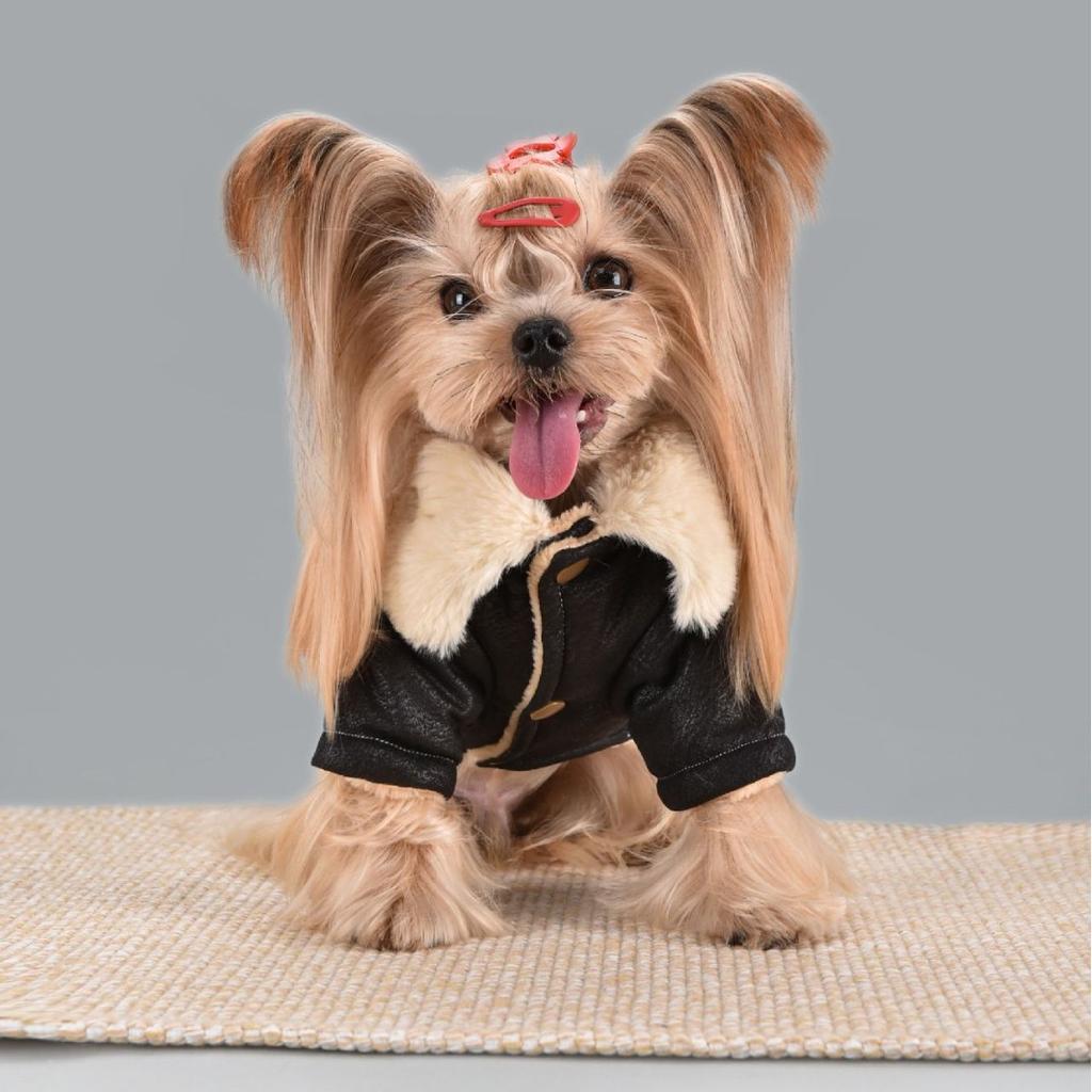 10PC/Lot Fur Collar Dog Leather Jacket Windproof Warm Small Dog Coat Winter Dog Clothes Puppy Clothing