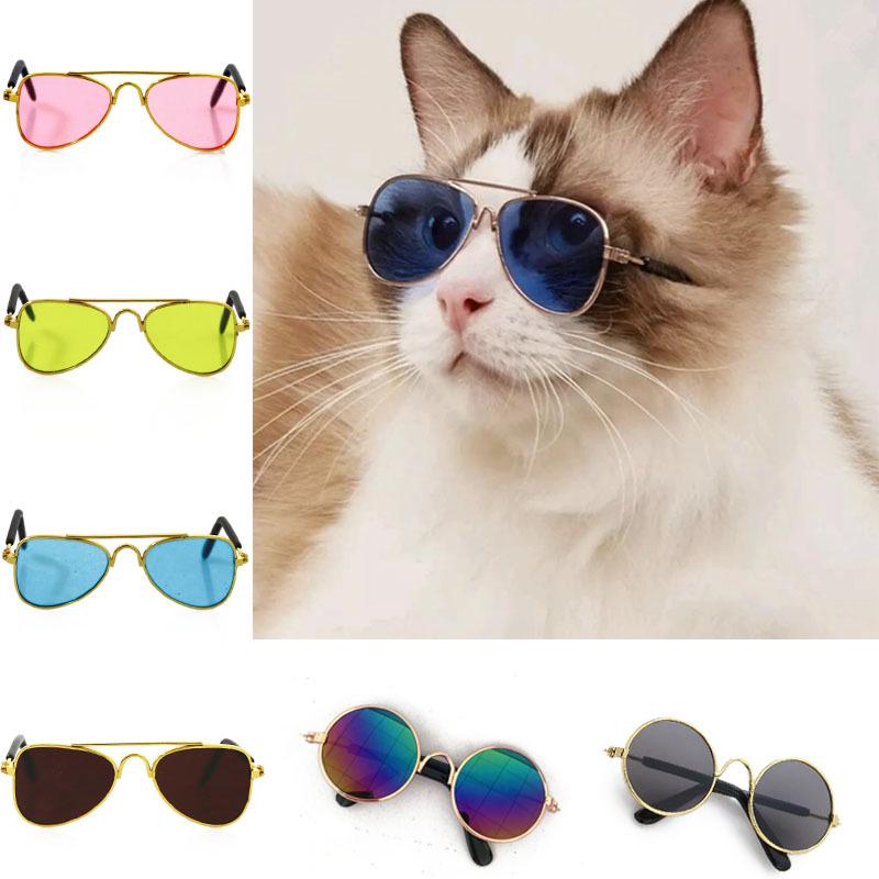 Pet Sunglasses & Headwear: Funny Cat & Dog Accessories