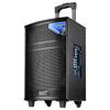 SAST SA-122X Portable Outdoor Karaoke Speaker (CN Version)